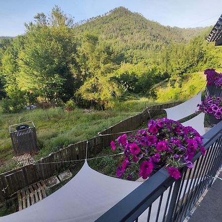 Agriturismo Terre Di Ginepro บอร์เกตโตดิวารา ภายนอก รูปภาพ
